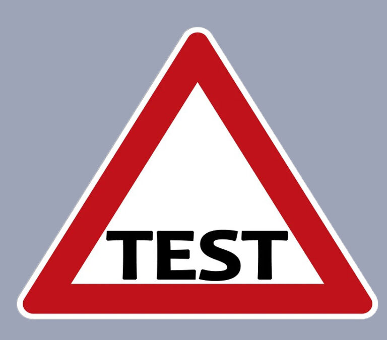 Test_Logo-grau
